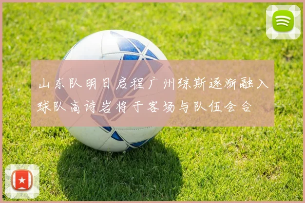 山东队明日启程广州琼斯逐渐融入球队高诗岩将于客场与队伍会合