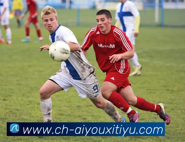 多媒体互动体验